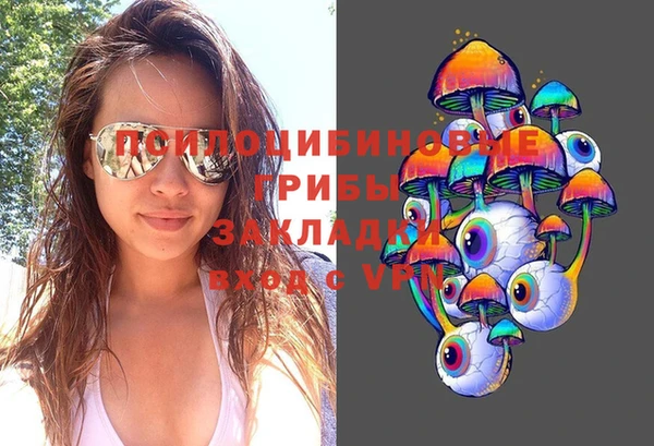 марки nbome Инсар